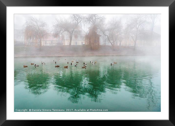 Flock of ducks on a foggy river Framed Mounted Print by Daniela Simona Temneanu