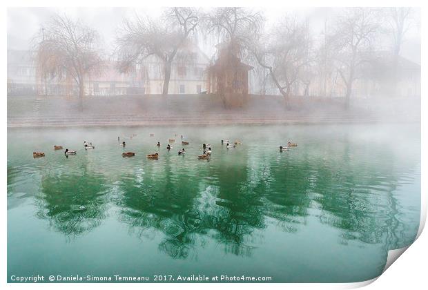 Flock of ducks on a foggy river Print by Daniela Simona Temneanu