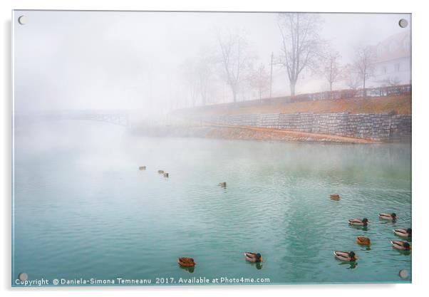 Foggy river and wild ducks Acrylic by Daniela Simona Temneanu