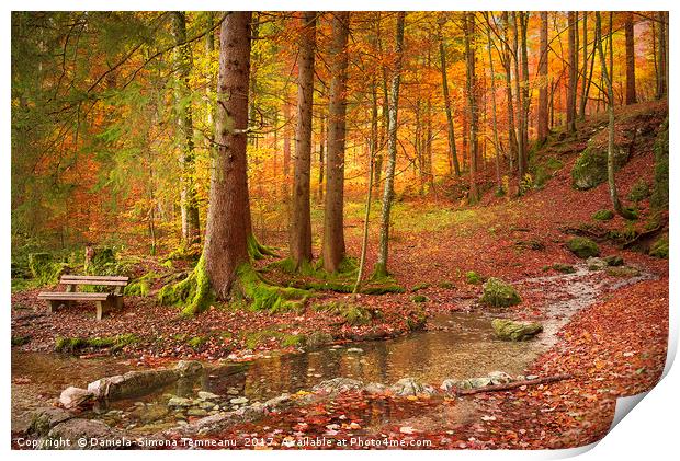 Forest in autumn colors Print by Daniela Simona Temneanu