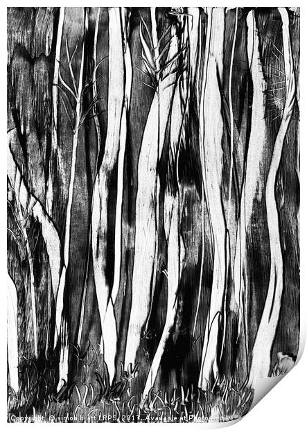 Spooky trees wax painting Print by Simon Bratt LRPS