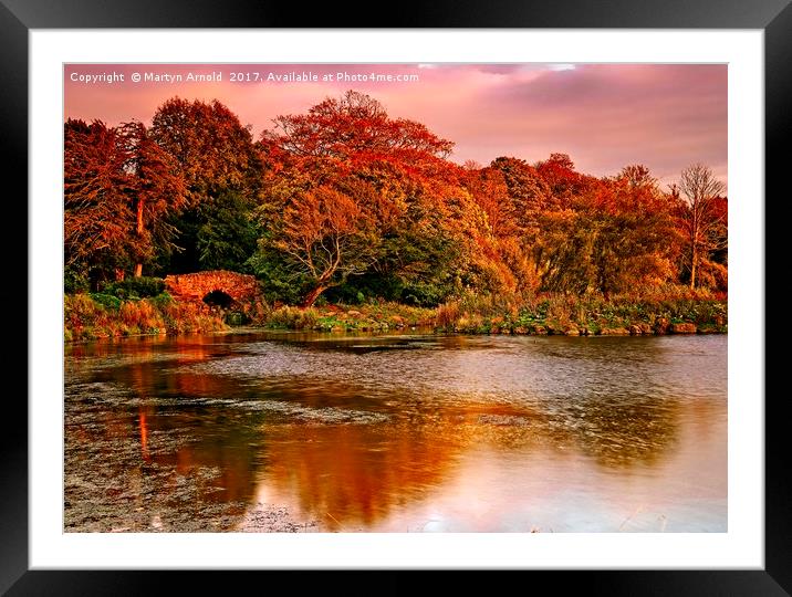 Autumn Sunset at Hardwick Park Framed Mounted Print by Martyn Arnold
