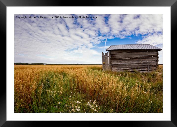 Tiny Barn House On The Oat Fields Framed Mounted Print by Jukka Heinovirta