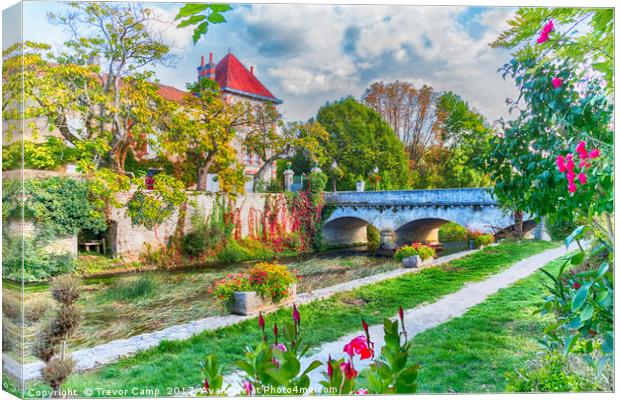 Charente a Verteuil Canvas Print by Trevor Camp