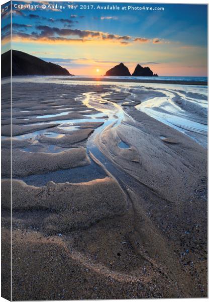 Beach Patterns (Holywell Bay Canvas Print by Andrew Ray
