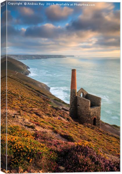 Late Summer at Wheal Coates Canvas Print by Andrew Ray