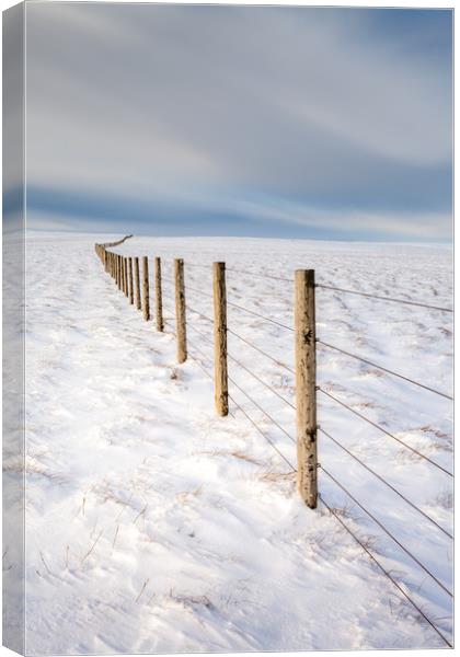 North Pennines Snowy Field Canvas Print by Jonathan Smith