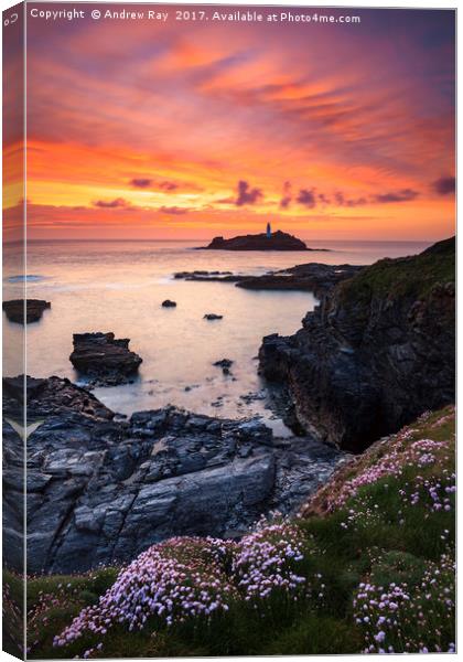 Spring Flowers at Sunset (Godrevy) Canvas Print by Andrew Ray