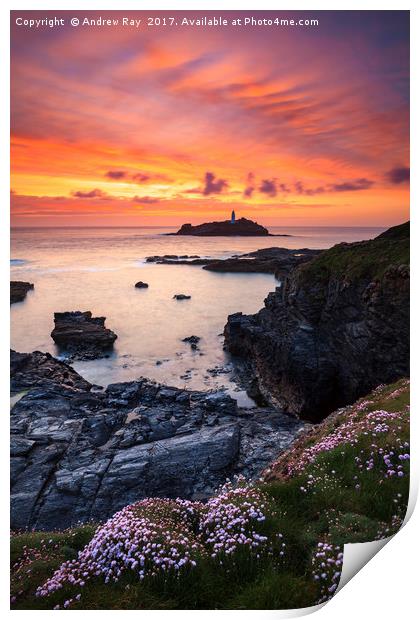 Spring Flowers at Sunset (Godrevy) Print by Andrew Ray