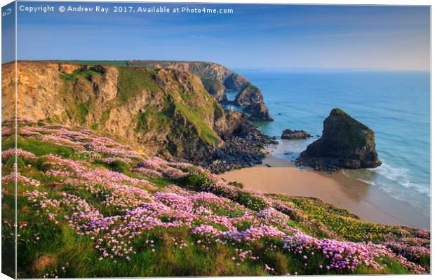 Spring View (Bedruthan Steps)  Canvas Print by Andrew Ray