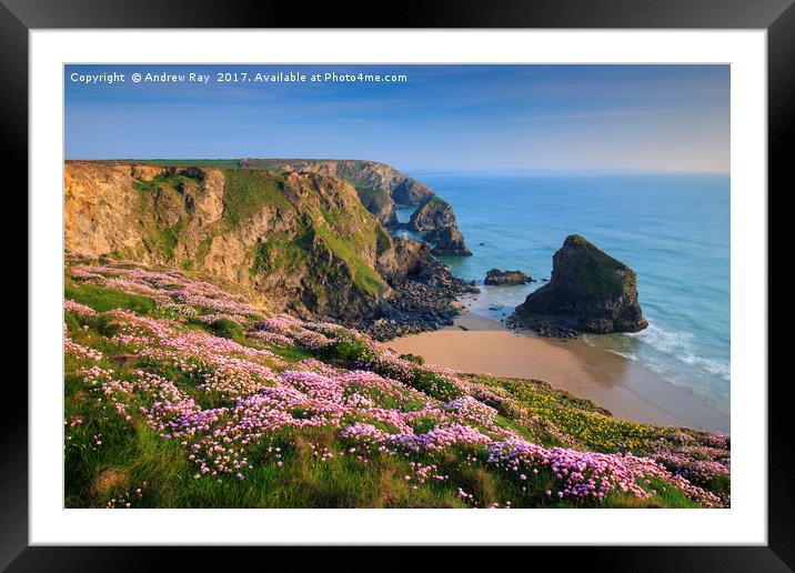 Spring View (Bedruthan Steps)  Framed Mounted Print by Andrew Ray