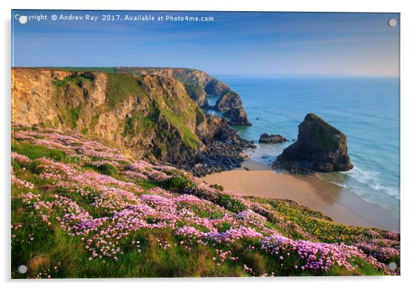 Spring View (Bedruthan Steps)  Acrylic by Andrew Ray