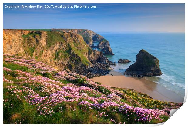 Spring View (Bedruthan Steps)  Print by Andrew Ray