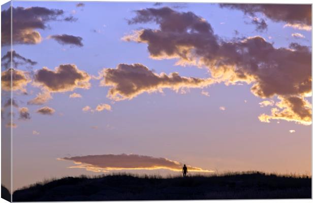 Sunset in Montana Canvas Print by Luc Novovitch