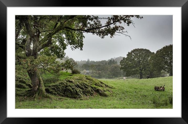 PASTORAL SCENE Framed Mounted Print by Tony Sharp LRPS CPAGB