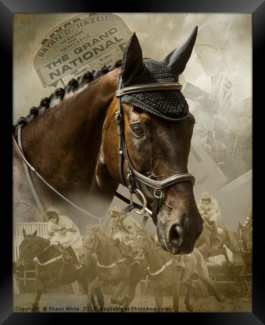 Race Horse Dreams Framed Print by Shaun White