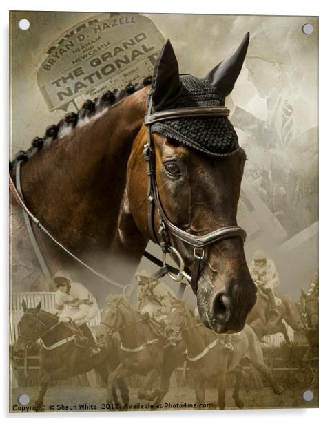 Race Horse Dreams Acrylic by Shaun White