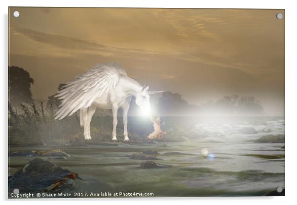 Morning Unicorn Acrylic by Shaun White