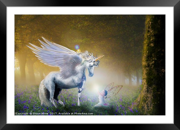 Bluebell Unicorn Framed Mounted Print by Shaun White