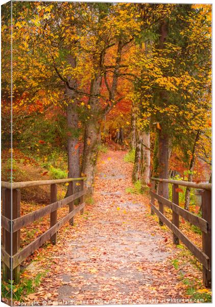 Long path through the colorful forest Canvas Print by Daniela Simona Temneanu
