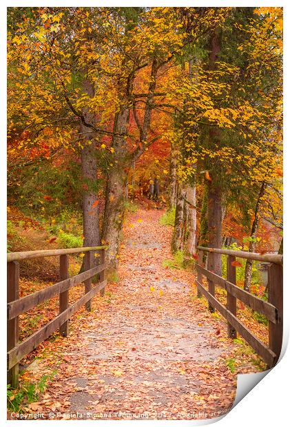 Long path through the colorful forest Print by Daniela Simona Temneanu