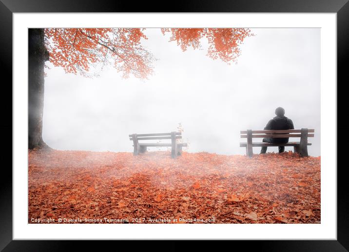 Man on bench shrouded by mist in autumn decor Framed Mounted Print by Daniela Simona Temneanu