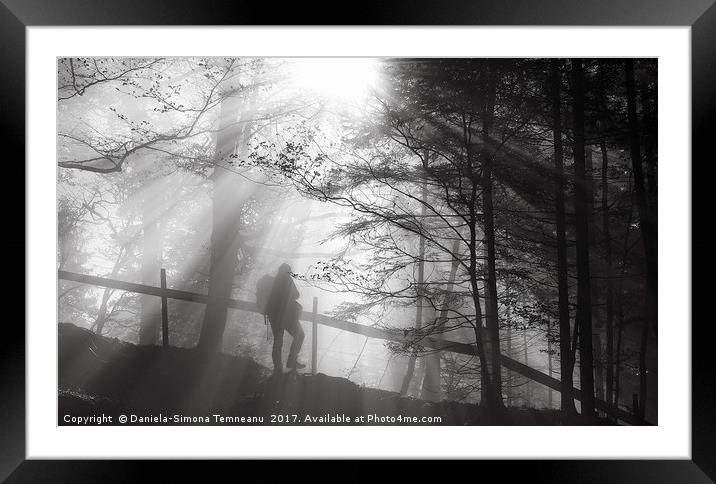 Man wandering into the forest Framed Mounted Print by Daniela Simona Temneanu