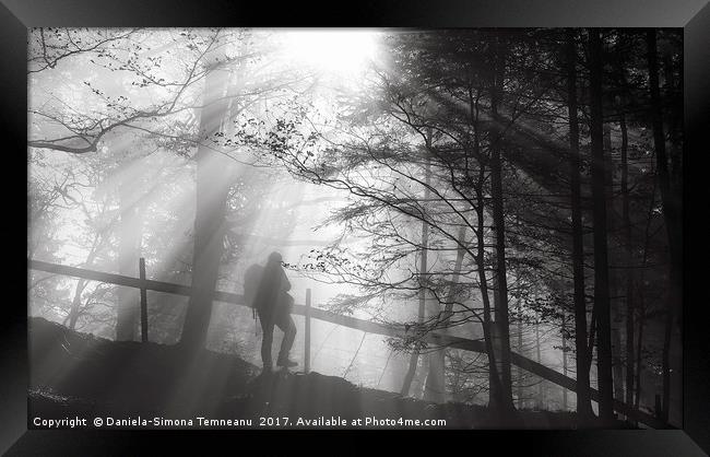 Man wandering into the forest Framed Print by Daniela Simona Temneanu
