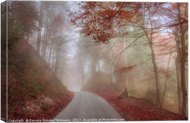 Misty autumn forest and a country road Canvas Print by Daniela Simona Temneanu