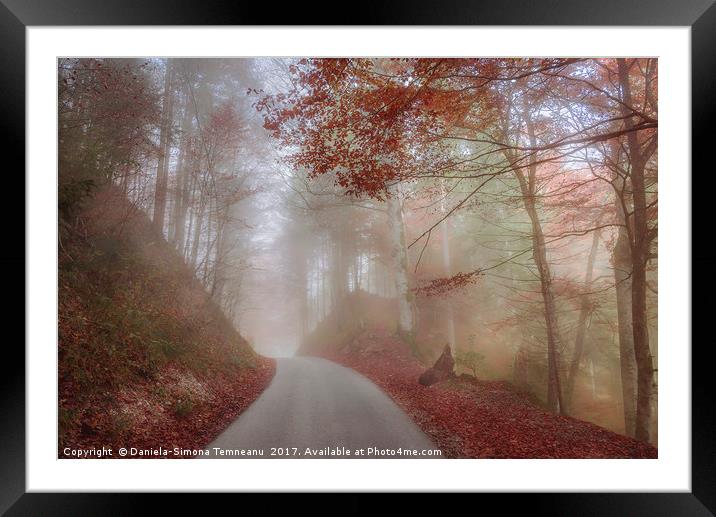 Misty autumn forest and a country road Framed Mounted Print by Daniela Simona Temneanu