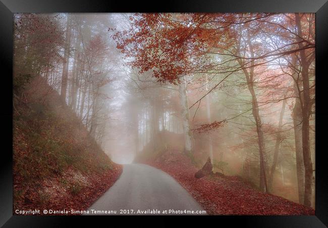 Misty autumn forest and a country road Framed Print by Daniela Simona Temneanu
