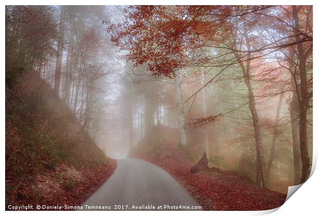 Misty autumn forest and a country road Print by Daniela Simona Temneanu