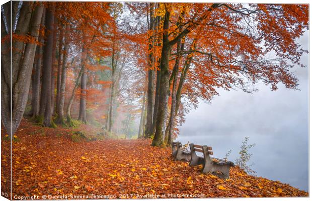 Misty lake shore and autumn woods Canvas Print by Daniela Simona Temneanu