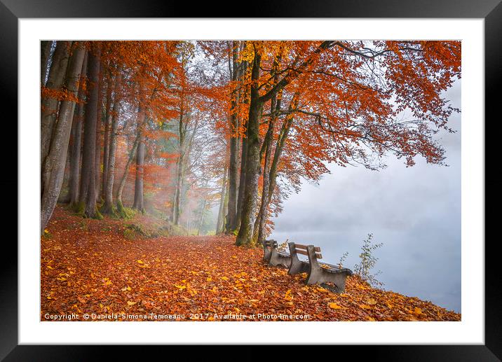 Misty lake shore and autumn woods Framed Mounted Print by Daniela Simona Temneanu