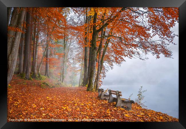 Misty lake shore and autumn woods Framed Print by Daniela Simona Temneanu