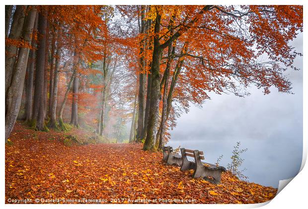 Misty lake shore and autumn woods Print by Daniela Simona Temneanu