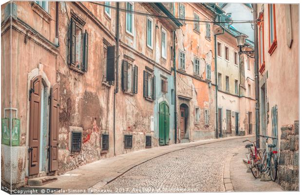Old street alley in Ljubljana Canvas Print by Daniela Simona Temneanu