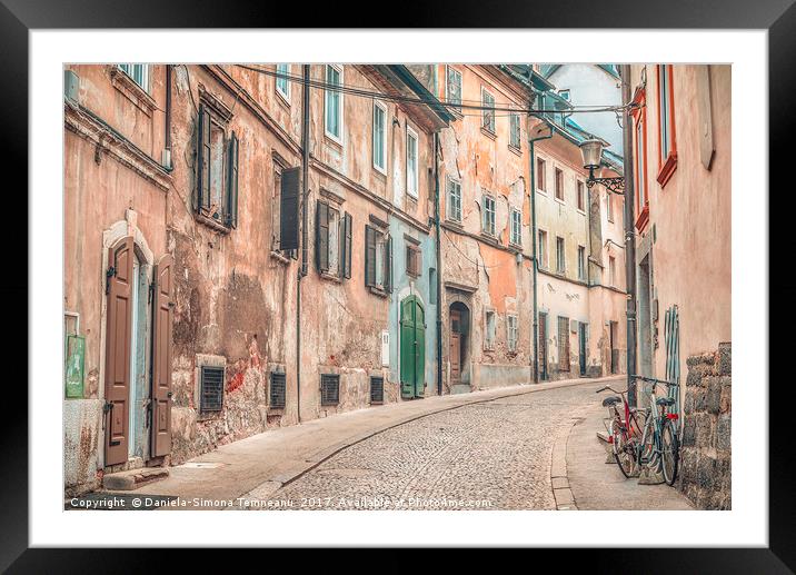 Old street alley in Ljubljana Framed Mounted Print by Daniela Simona Temneanu