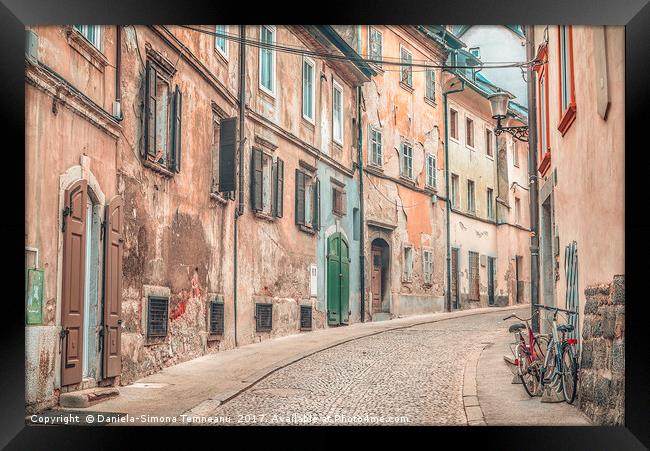 Old street alley in Ljubljana Framed Print by Daniela Simona Temneanu