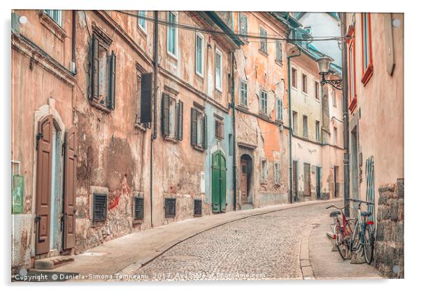 Old street alley in Ljubljana Acrylic by Daniela Simona Temneanu