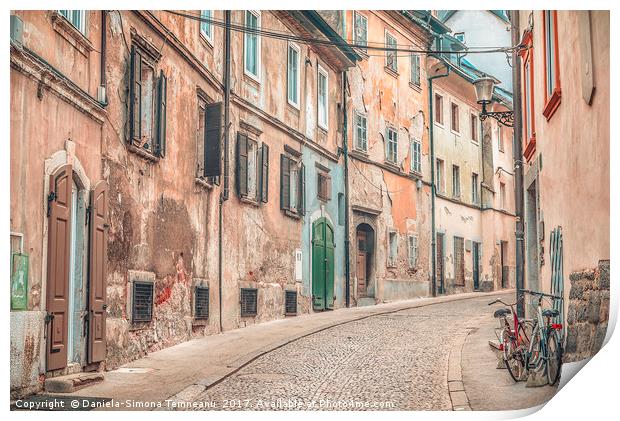 Old street alley in Ljubljana Print by Daniela Simona Temneanu