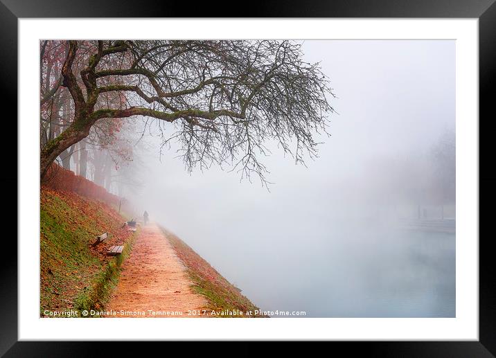 Path in autumn mist along the river Framed Mounted Print by Daniela Simona Temneanu