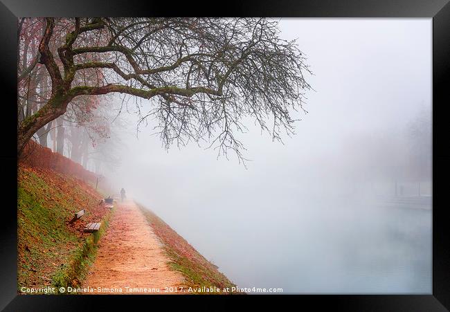 Path in autumn mist along the river Framed Print by Daniela Simona Temneanu