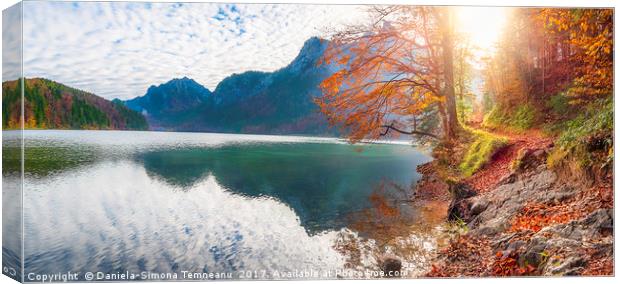 Path on Alpsee lake shore in autumn decor Canvas Print by Daniela Simona Temneanu
