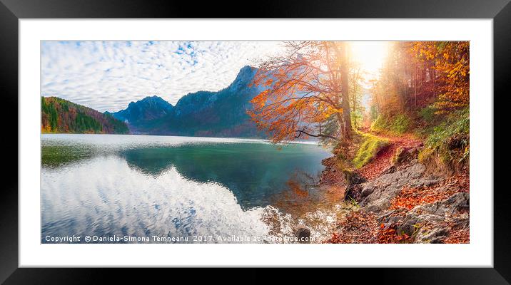 Path on Alpsee lake shore in autumn decor Framed Mounted Print by Daniela Simona Temneanu