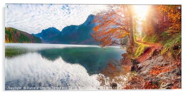 Path on Alpsee lake shore in autumn decor Acrylic by Daniela Simona Temneanu