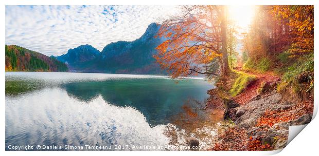 Path on Alpsee lake shore in autumn decor Print by Daniela Simona Temneanu