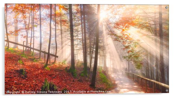 Road through an autumn forest and sun rays Acrylic by Daniela Simona Temneanu