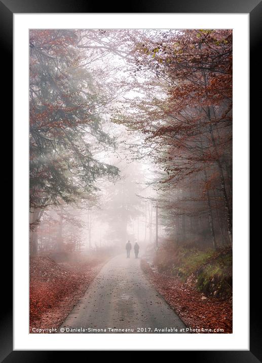 Road through autumn forest and mist Framed Mounted Print by Daniela Simona Temneanu