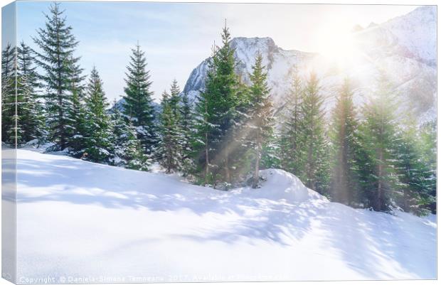 Sun rays through snowy mountains and trees Canvas Print by Daniela Simona Temneanu